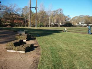 ball field